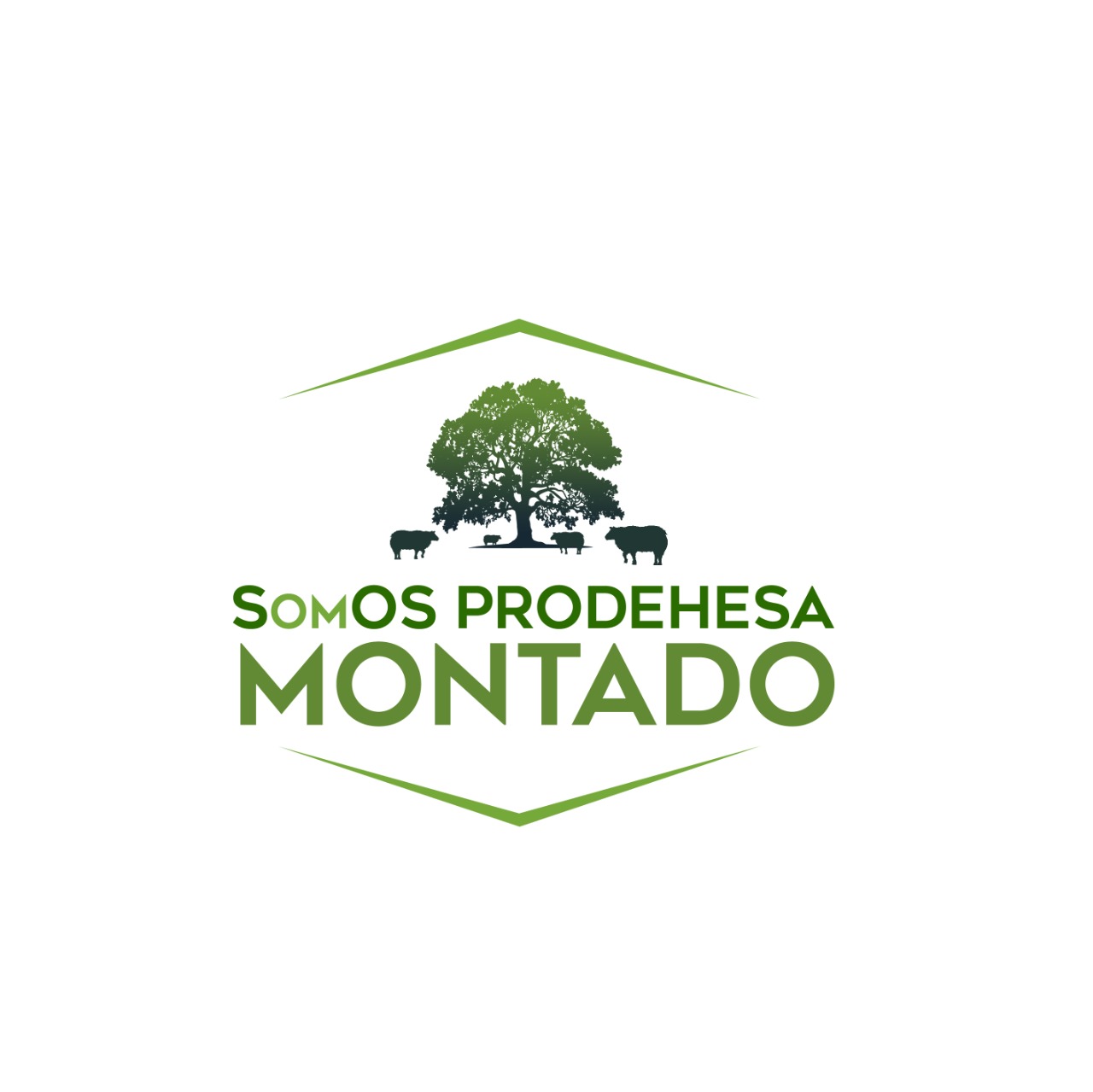 SOS Prodehesa Montado