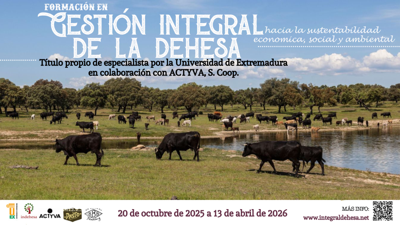 Banner VI edición Gestión Integral de la Dehesa